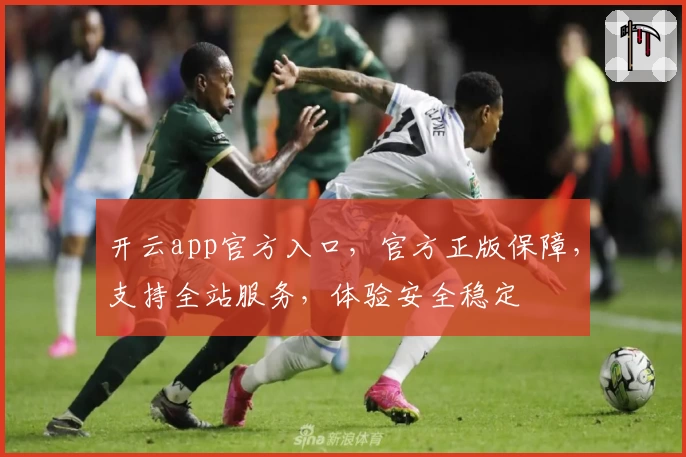 开云app官方入口,官方正版保障,支持全站服务,体验安全稳定