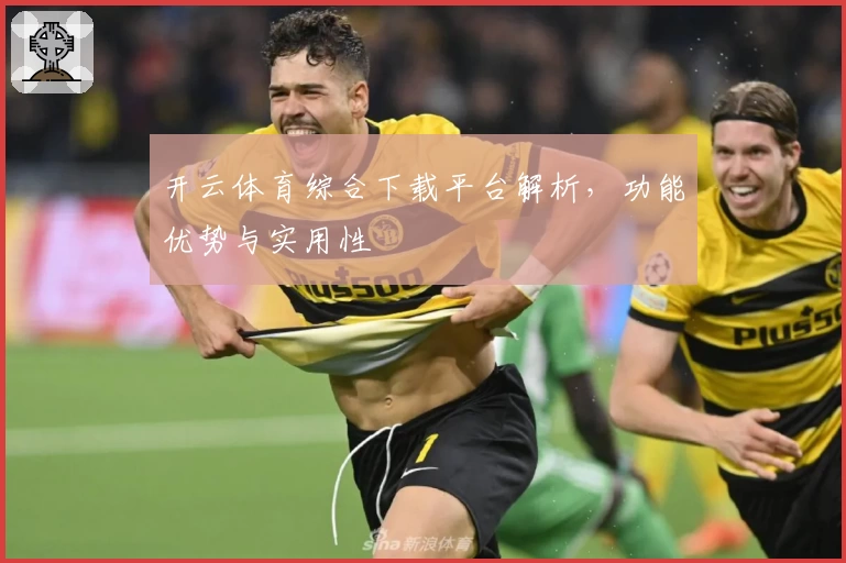开云体育综合下载平台解析,功能优势与实用性