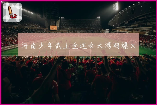 河南少年武上全运会大湾鸡爆火