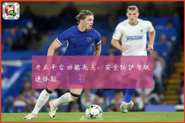 开云平台功能亮点，安全防护与极速体验